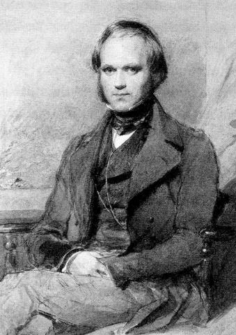 Charles Darwin 1808 - 1882; britischer Naturforscher